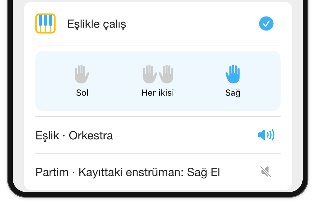 Modlar içinde el seçici, Sağ El seçili olarak gösteriliyor ve eşlik ile kullanıcının partisi için ayrı ses kontrolleri bulunuyor.